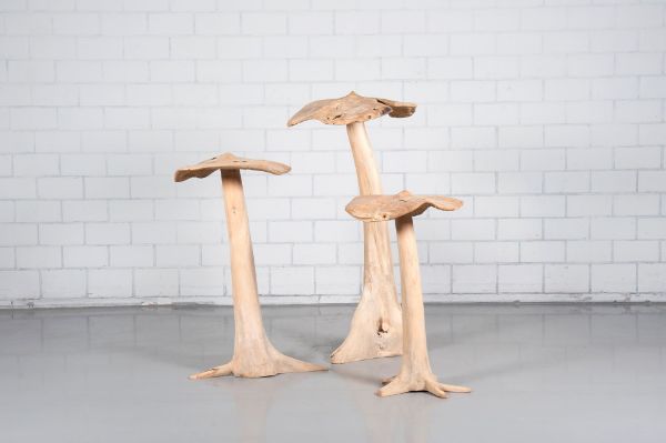 Afbeelding van PADDENSTOELEN SET / 3